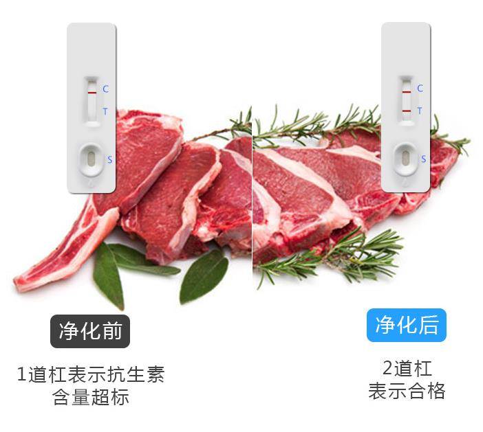 肉類凈化效果對(duì)比